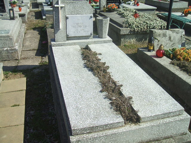 Grób Leokadia Niepokój