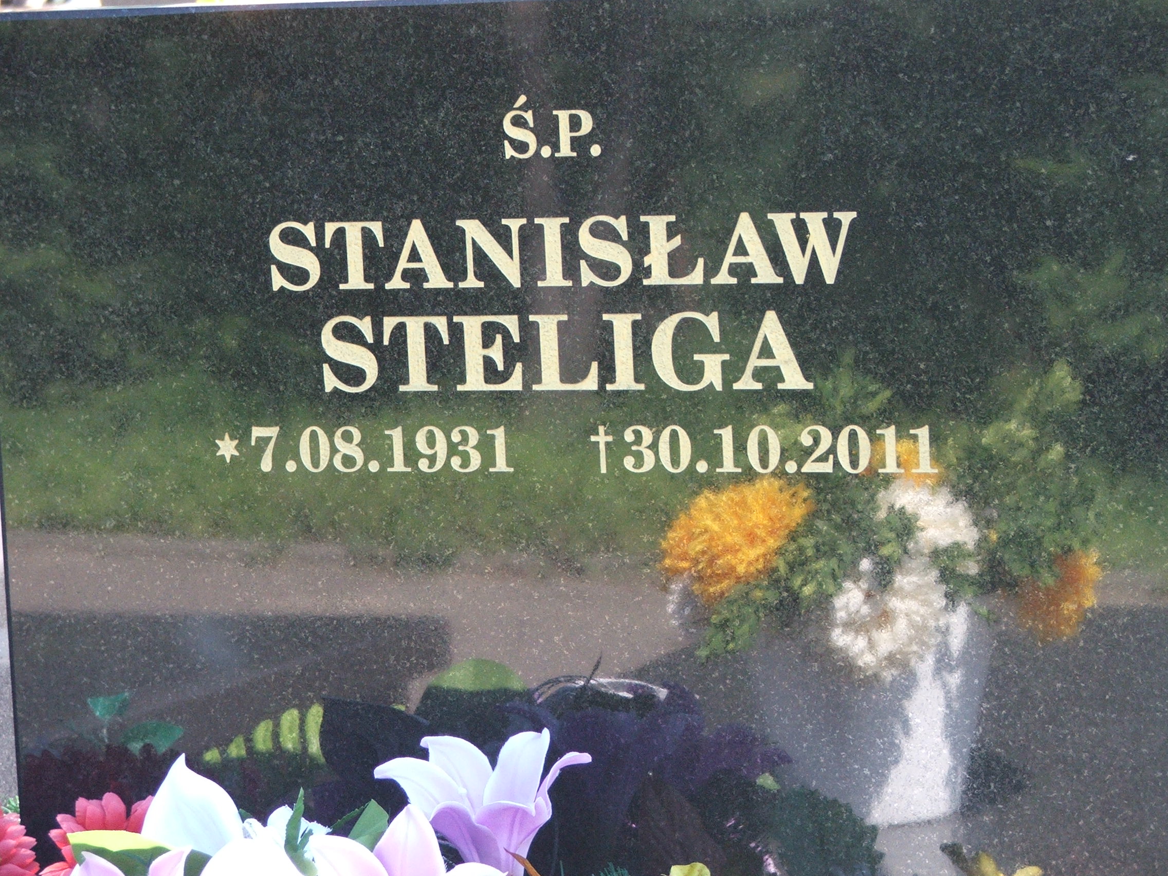 Grób Stanisław Steliga