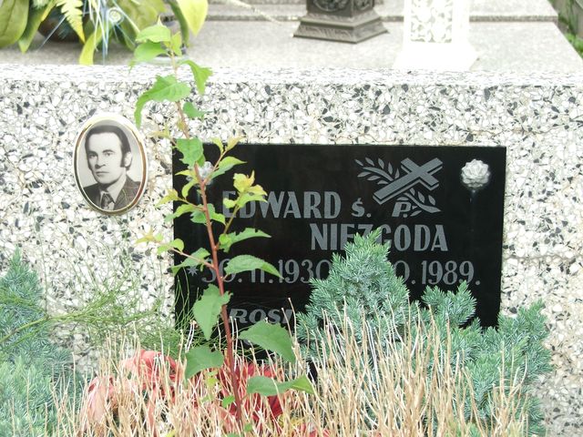 Grób Edward Niezgoda
