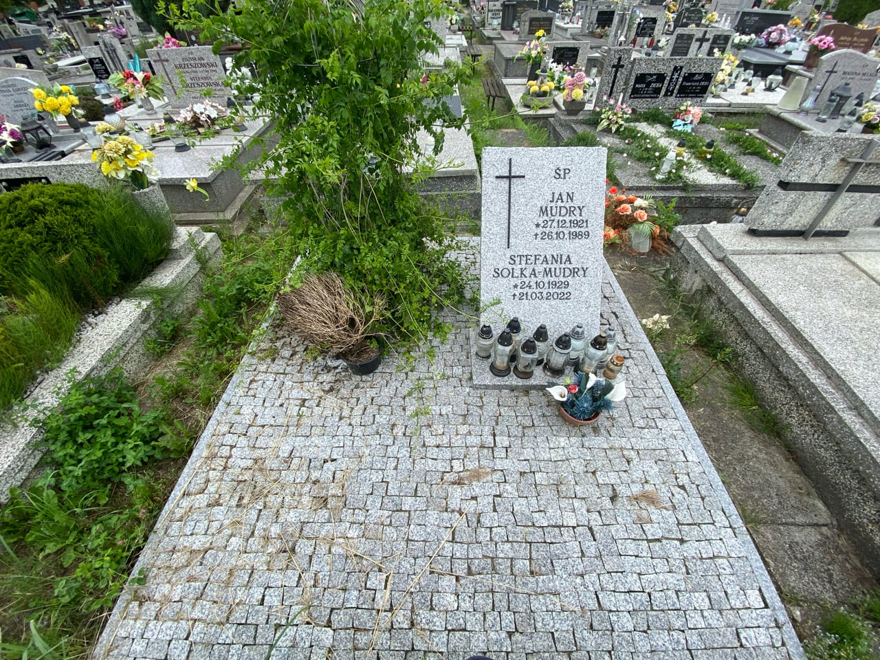 Grób Jan Mudry
