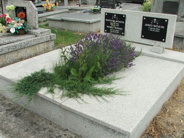 Grób Mateusz Nowak